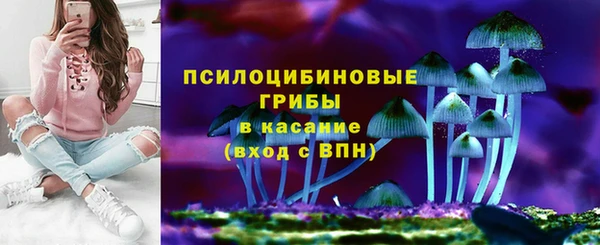 тгк Аркадак